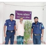 টংগীবাড়ী পুলিশের অভিযানে গাঁজা গাছসহ একজন গ্রেফতার